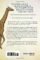 West with Giraffes Novel