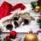 Wind Chimes Christmas Bells