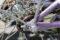 ZONKIE Bike Chain Single